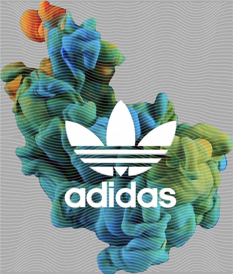 Adidas-AD 66
